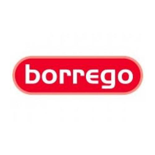 صفحه نخست 589 Borrego