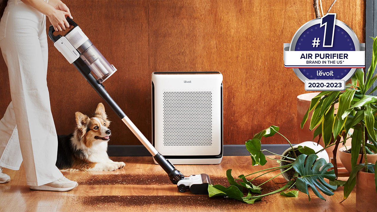 رفع بوی بد حیوانات خانگی در تابستان 8 airpurifier and pet odor