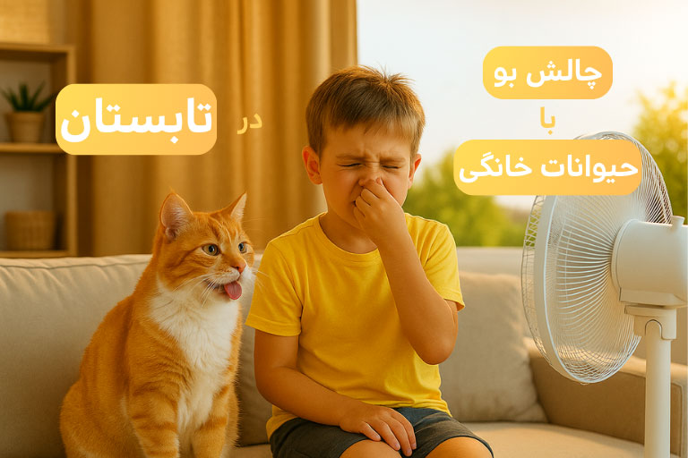 صفحه نخست 458 رفع بوی بد حیوانات در تابستان