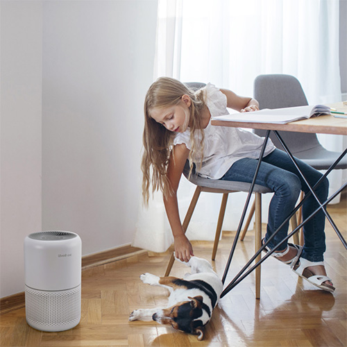 رفع بوی بد حیوانات خانگی در تابستان 9 pet odor air purifier levoit