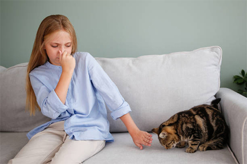 رفع بوی بد حیوانات خانگی در تابستان 3 pet odor