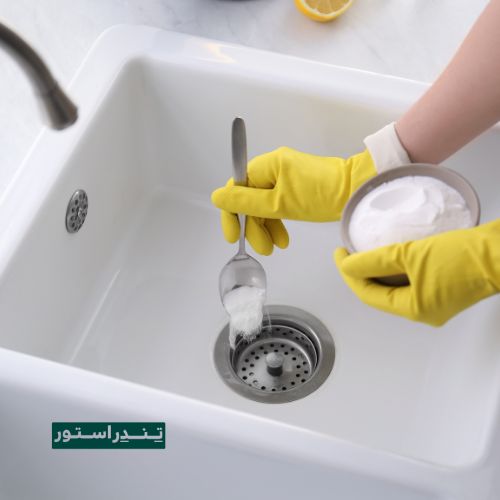 رفع بوی بد حیوانات خانگی در تابستان 5 using baking soda for odor pet
